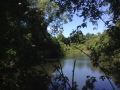 A pond which was part of the Abbey's estate.