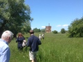 Roaming the grounds of the abbey's estate.