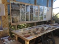 Archaeological finds and display.